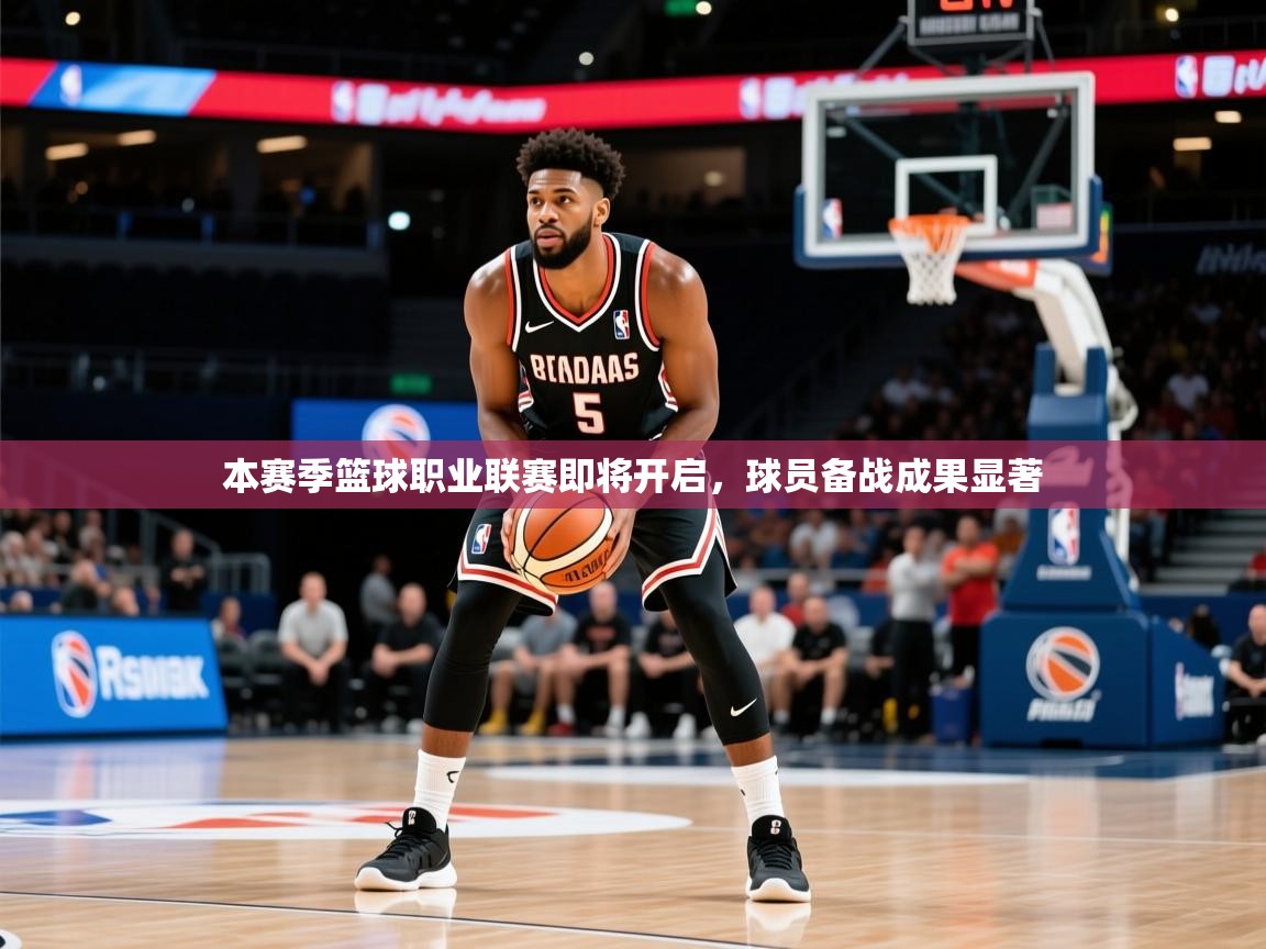 2026 极速体育在线观看本赛季篮球职业联赛即将开启，球员备战成果显著  第3张